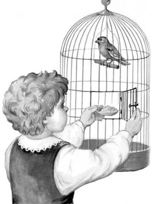 Птичка — рассказ Льва Толстого