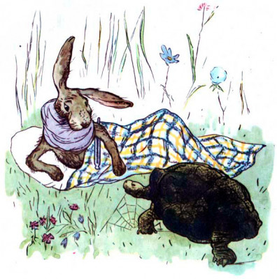 Заяц и черепаха — басня Михалкова