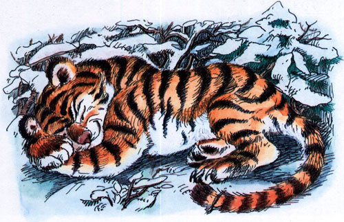 Сказка про тигрёнка на подсолнухе